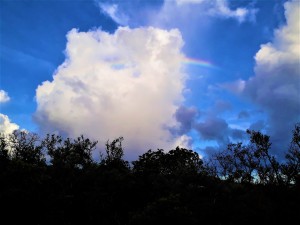 AcesPink rainbow cloud